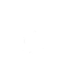 Brandology Digital Marketing Agency
